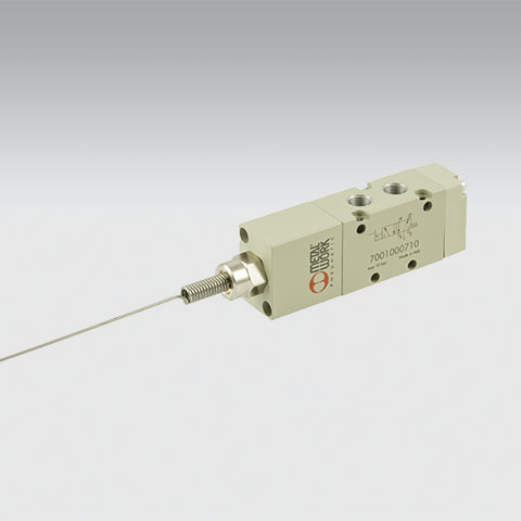 T3_BCCD02037